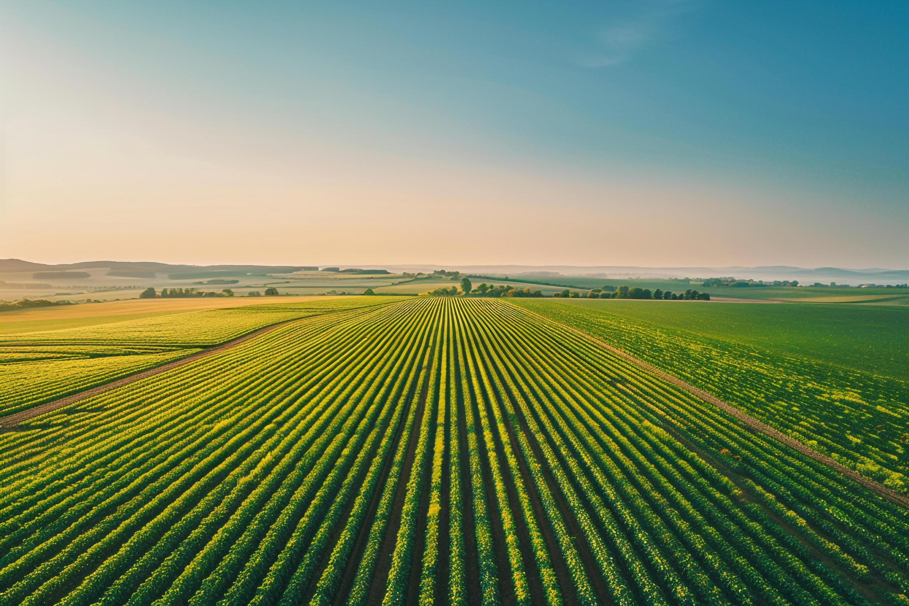 CONECTAMOS EL CAMPO CON INVERSIONISTAS